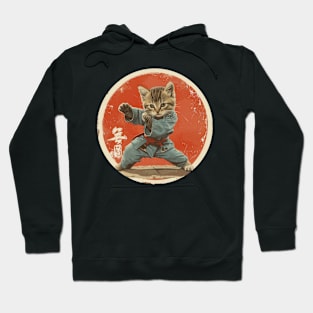 Karate Cat: Paws of Fury Hoodie